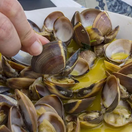 A55 - Moinho In Lagos